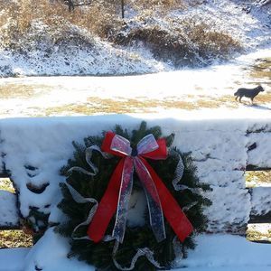 Meet your Posher, Connie